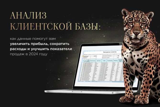 Анализ клиентской базы: как данные помогут вам увеличить прибыль, сократить расходы и улучшить показатели продаж в 2024 году